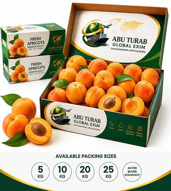 Fresh Apricot