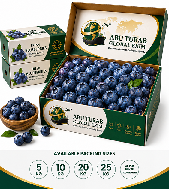 Fresh Blueberry