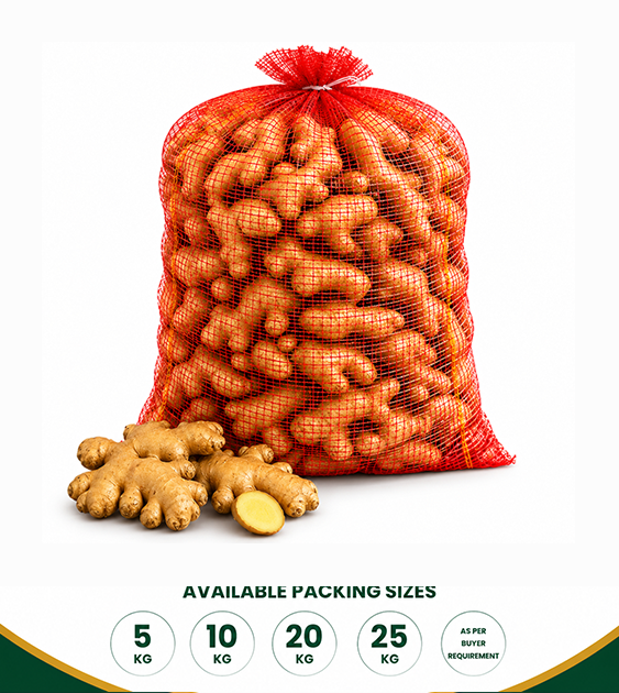 Fresh Ginger