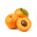 Apricot