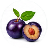 Plum