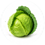 Cabbage