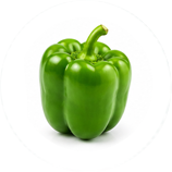 Capsicum