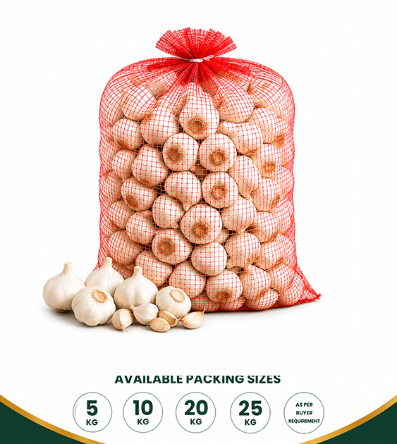 Fresh Garlic