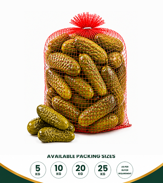 Fresh Gherkins