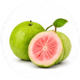 Guava