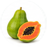 Muskmelon